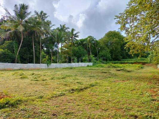 Land Plot